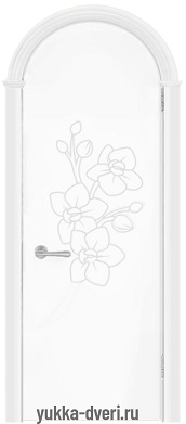 Арочная дверь Орхидея-1 ДГ